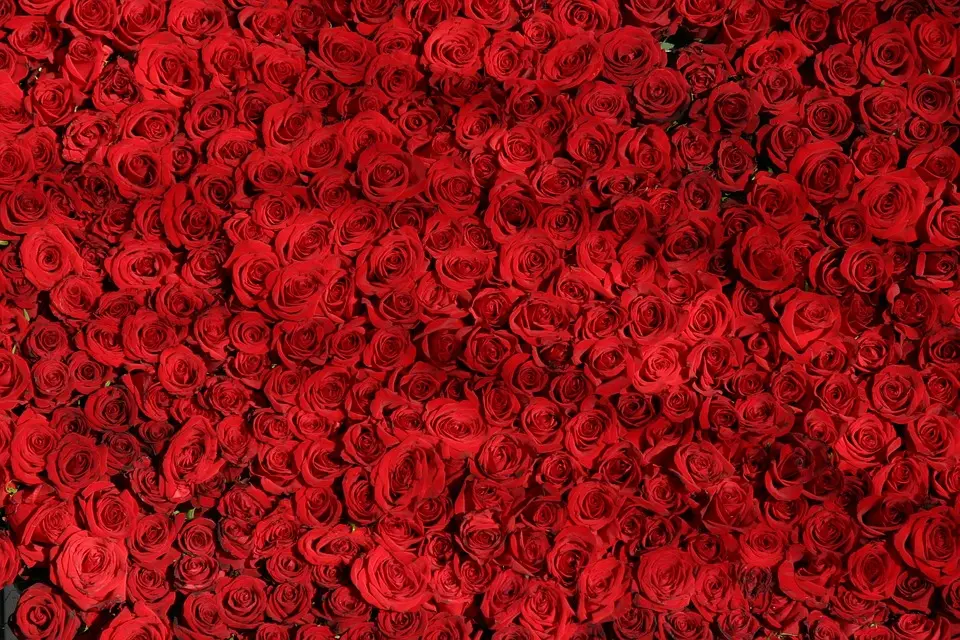 Soñar con flores rojas